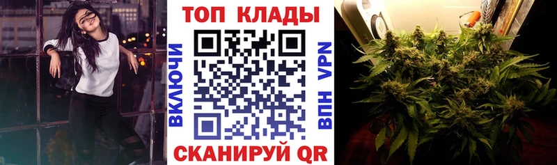 Купить наркотики Светлогорск Каннабис  МЕФ  A-PVP  ГАШ  КОКАИН 