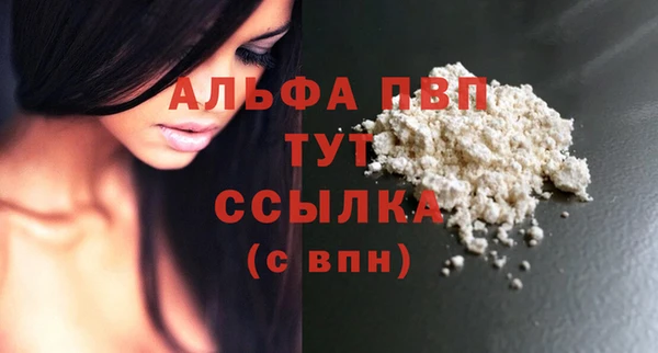 a pvp Новозыбков
