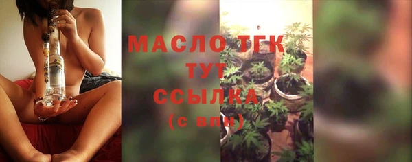 твердый Козельск