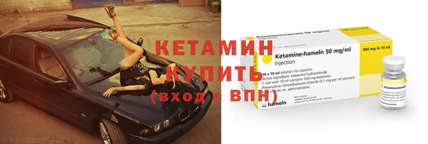 a pvp Новозыбков