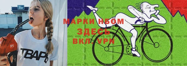 a pvp Новозыбков