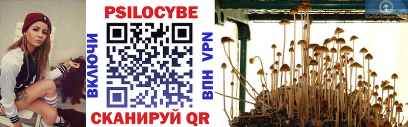 Псилоцибиновые грибы прущие грибы  наркошоп  OMG зеркало  Светлогорск 